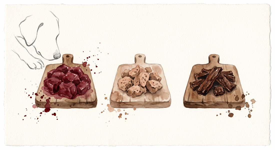 Freeze-Dried vs. Dehydrated vs. Raw Liver for Dogs: What Actually Survives Processing